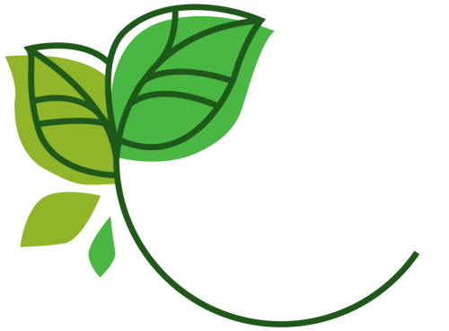 Super bonus 110%